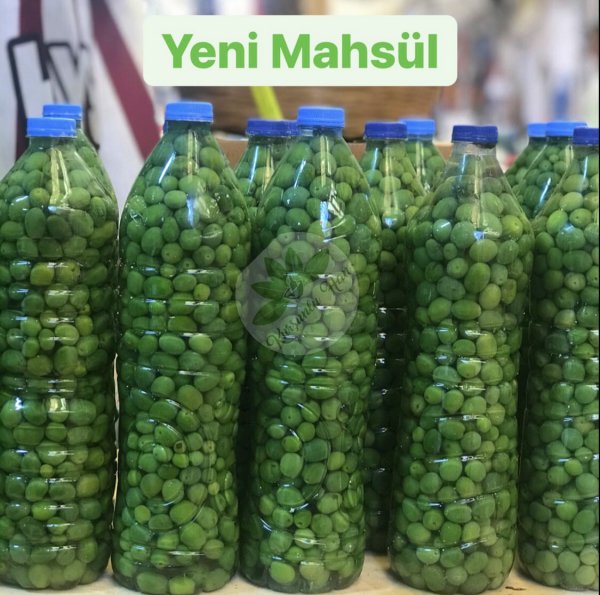 Zeytin Halhali (Yeni Mahsül)