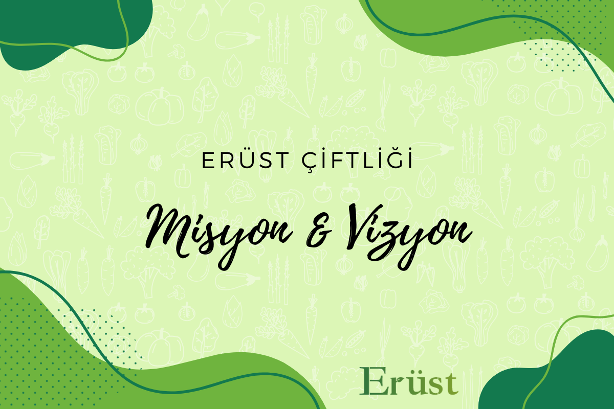 Misyon ve Vizyonumuz