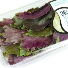 Kırmızı Fesleğen (Red Basil) 25 g