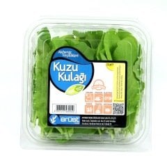 Kuzu Kulağı (Sorrel)