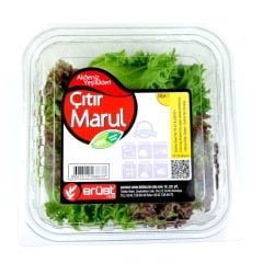Çıtır Marul (Crunchy Salad)
