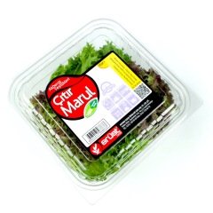 Çıtır Marul (Crunchy Salad)