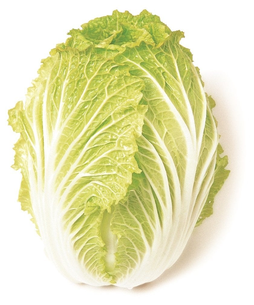 Çin Lahanası (Chinese Cabbage)