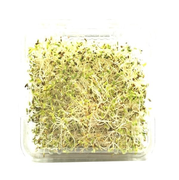 Yonca Filizi (Alfa Alfa Sprouts)