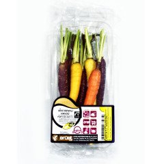 Renkli Havuç (Colorful Carrots) - 12'li