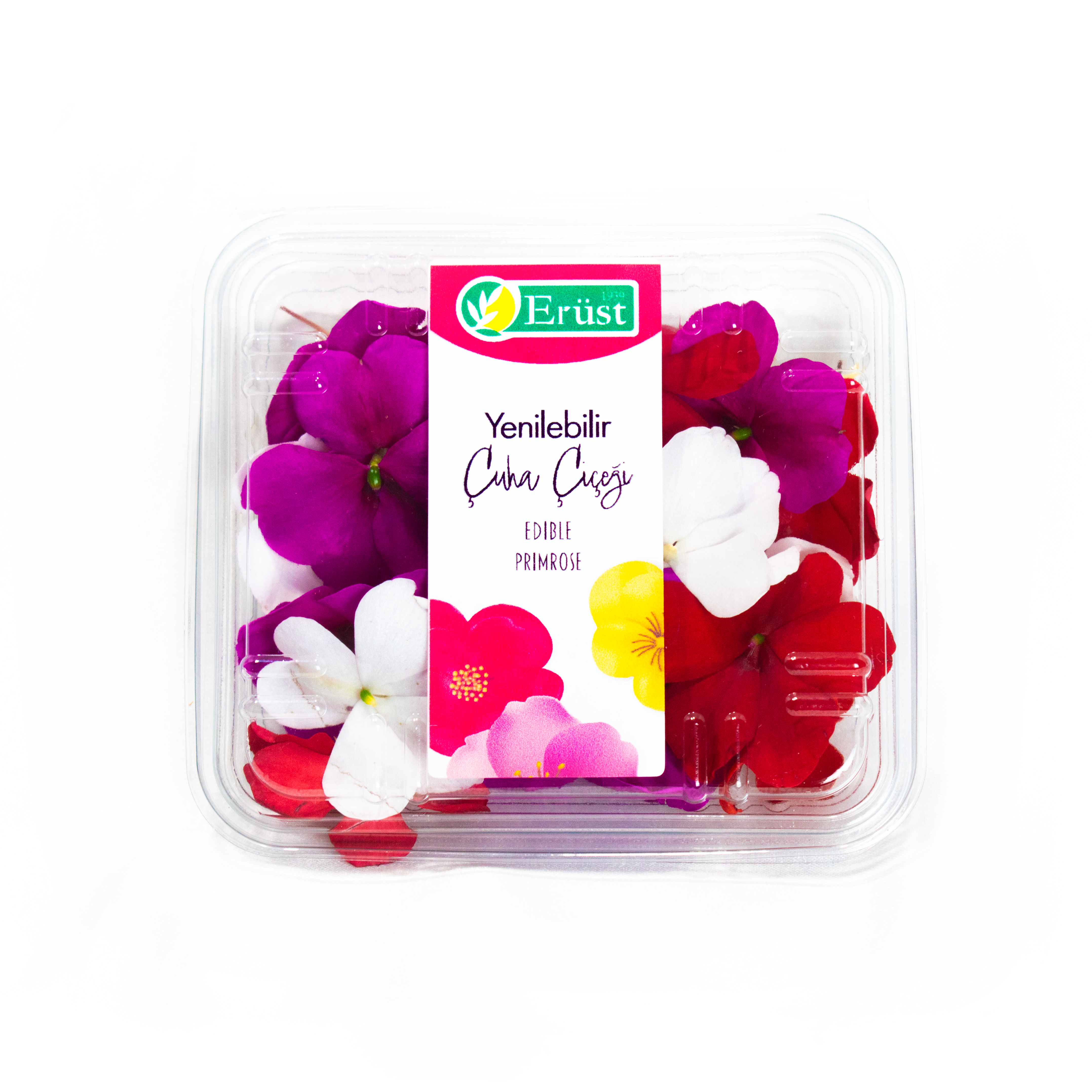 Çuha Çiçeği (Primrose)