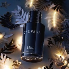 Dior Sauvage Edt 100 Ml