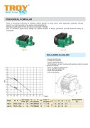 TROY HM 150  Döküm Gövde Bronz Çarklı Preferikal Pompa  1 Hp, 66 Mss , 1,2 m3/h