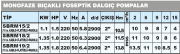 SUMAK SBRM 18/2 Paslanmaz Gövdeli Bıçaklı Foseptik Dalgıç Pompa (Monofaze - 1.8 HP)