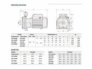 City Pumps ICB 200M Çift Kademeli Santrifüj Pompa (Monofaze) (2 Hp)