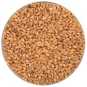 Buğday Maltı Pale Weyermann Wheat Malt