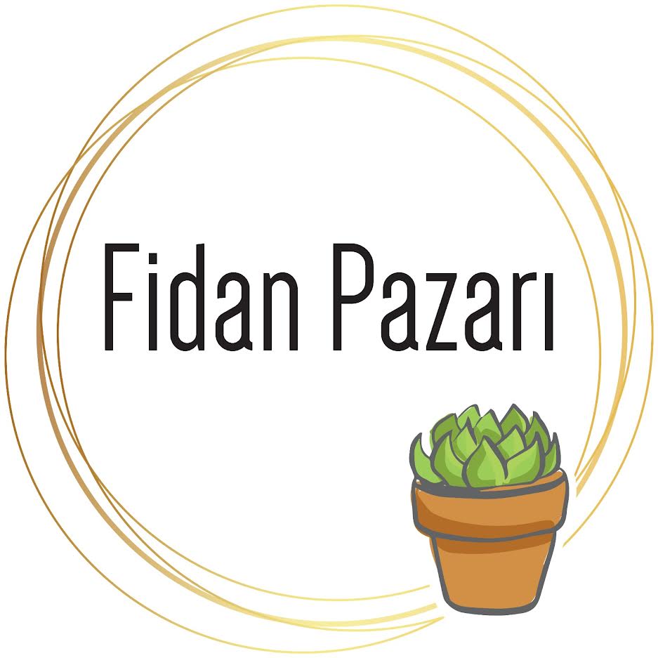 Fidan Pazari