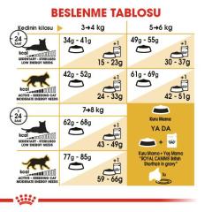 Royal Canin British Shorthair Yetişkin Kedi Maması 10 kg