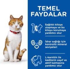 Hills Tavuk Etli Kısırlaştırılmış Yetişkin Kedi Maması 10 Kg