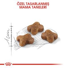 Royal Canin Kitten Yavru Kuru Kedi Maması 10 Kg