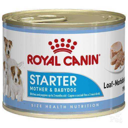 Royal Canin Starter Mousse Yavru Köpek Konservesi 195 Gr