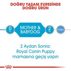 Royal Canin Starter Mousse Yavru Köpek Konservesi 195 Gr