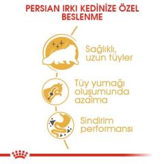 Royal Canin Persian Yetişkin Kedi Maması 10 kg