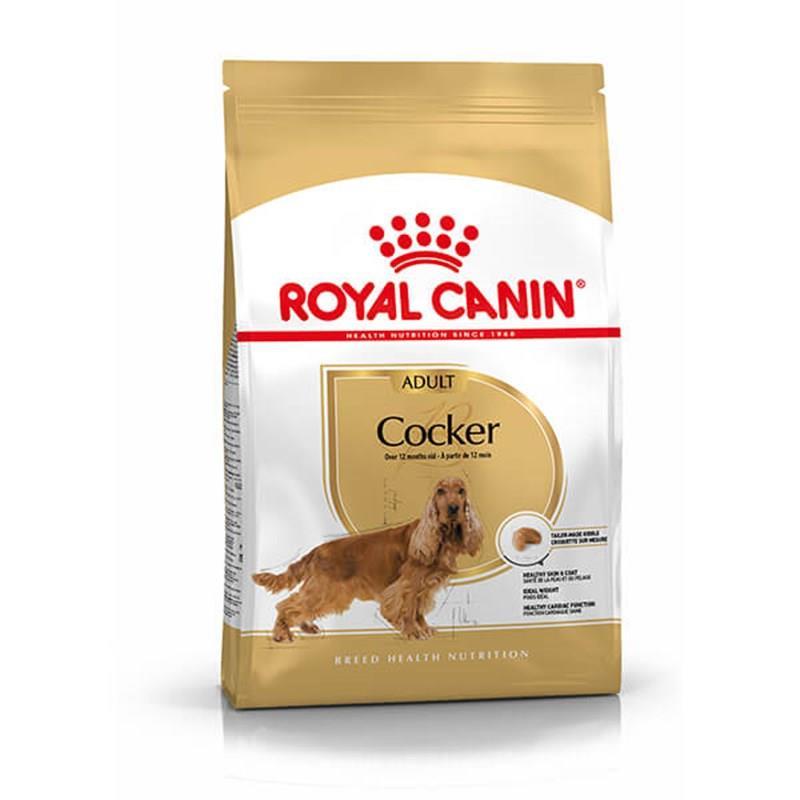 Royal Canin Cocker Yetişkin Köpek Maması 3 kg