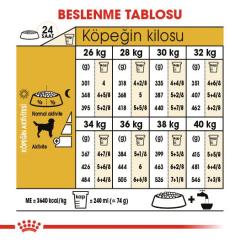 Royal Canin Labradorlar İçin yetişkin Köpek Maması 12 kg