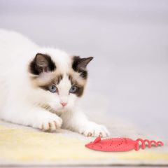 Gigwi Catnipli Fare Model Kedi Oyuncağı