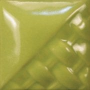 SW507 Bright Green Gloss Stoneware Sır