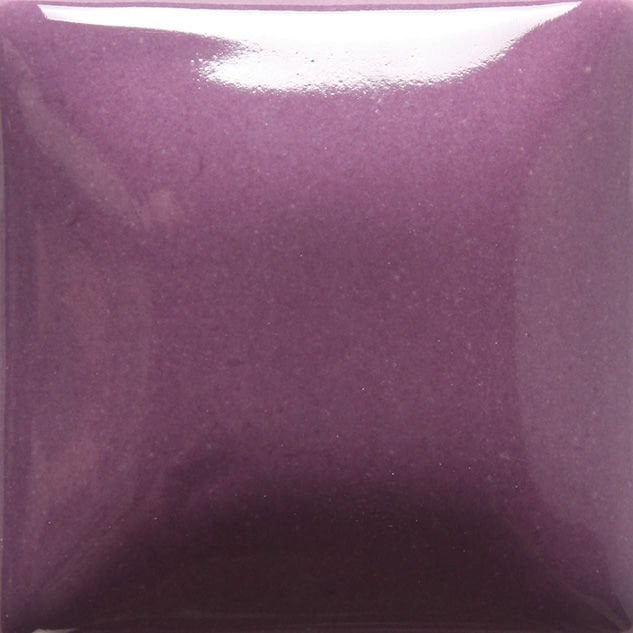 FN036 Grape Seramik Sır 473 ML