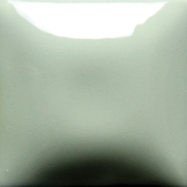 FN046 Sage Seramik Sır 473 ML