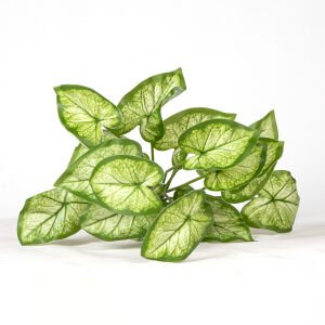Yapay Bitki Syngonium-Melek Kanadı Gerçek Dokulu 18 Yaprak Yeşil-Beyaz 46 Cm.