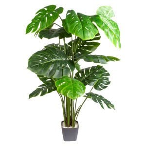 Yapay Monstera - Deve Tabanı Ağacı Gerçek Dokulu 20 Yaprak 165 Cm.