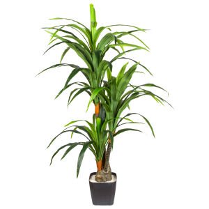 Yapay Dracaena Gerçek Dokulu 3 Dallı 160 Cm.