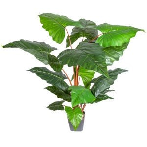 Yapay Alocasia - Fil Kulağı Ağacı Gerçek Dokulu 16 Yaprak 150 Cm.