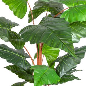 Yapay Alocasia - Fil Kulağı Ağacı Gerçek Dokulu 16 Yaprak 150 Cm.