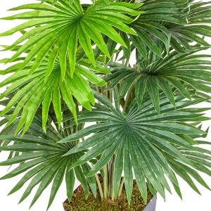 Saksıda Yapay Palmiye Gerçek Dokulu 18 Yaprak Yeşil 63 Cm.