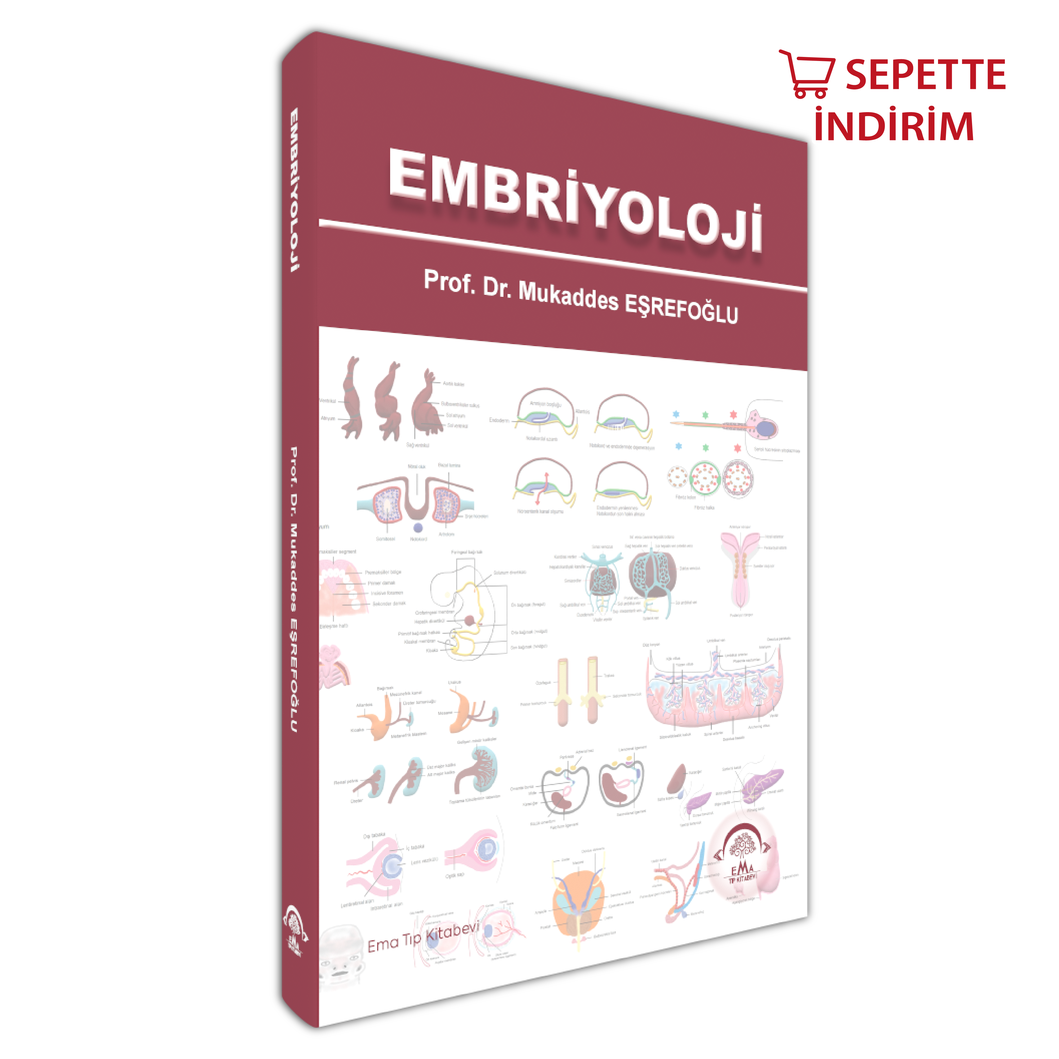 Embriyoloji