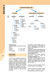 İnsan Anatomisi ve Fizyolojisine Giriş 2. Baskı