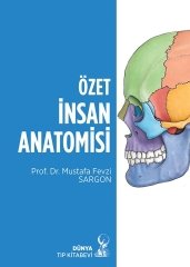 Özet İnsan Anatomisi