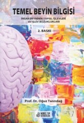 Temel Beyin Bilgisi: İnsan Beyninin Yapısı, İşlevleri ve İşlev Bozukluğu