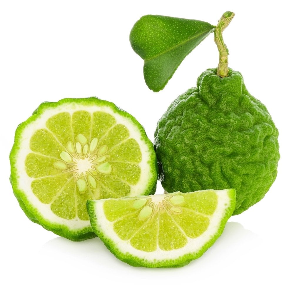 Tüplü Esanslı Kokulu  Bergamot Fidanı