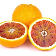 Tüplü Aşılı Meyve Verme Yaşında Kan Portakal Fidanı