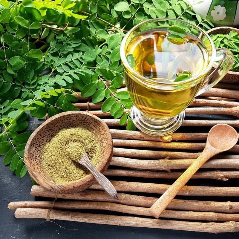 Tüplü Yaşam Ağacı Mucizevi Moringa (Oleifera) Ağacı Fidanı