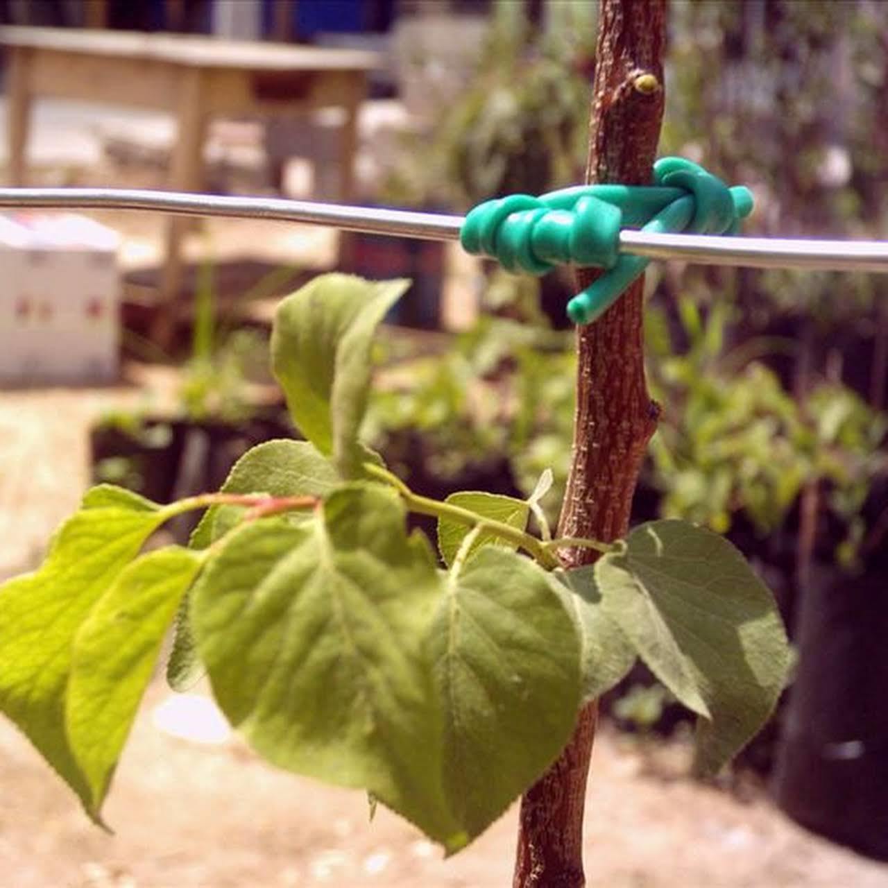 Plastik Özel Üretim Fidan Bağlama İpi (10 fidan İçin)