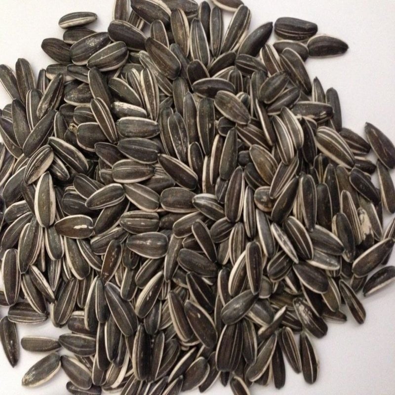 Doğal Siyah Çerezlik Çitlemelik Ayçiçeği Çekirdek Tohumu (1 KG)