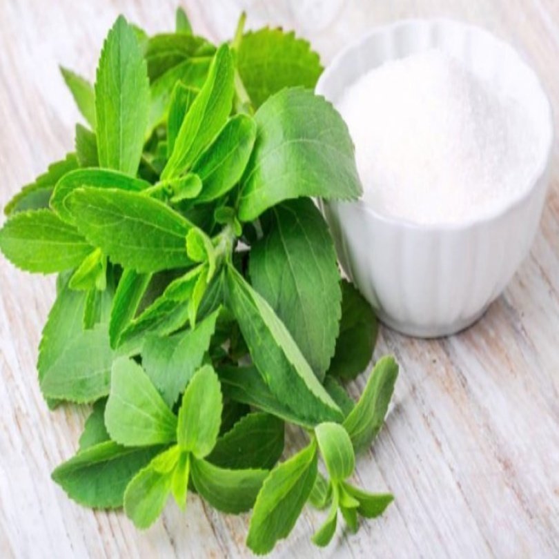 Doğal Şeker Otu (Stevia) Tohumu (40 adet)