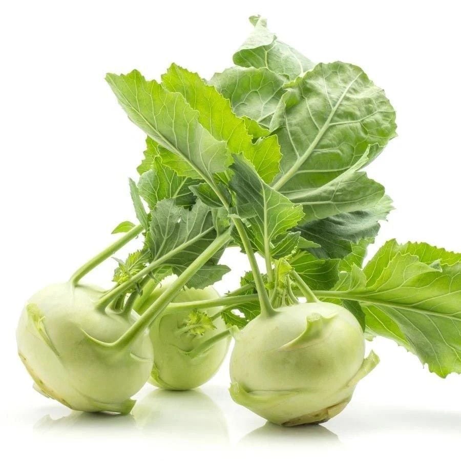 Ata Tohum Geleneksel Yeşil Kohlrabi(Alabaş) Tohumu (20 Tohum)
