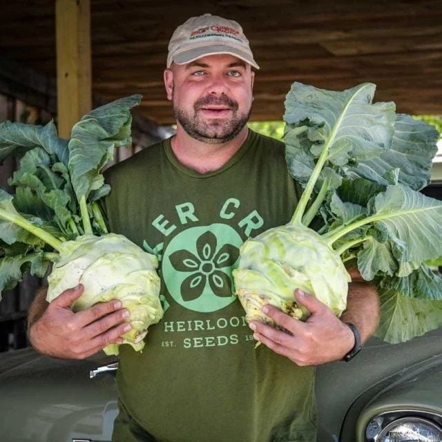 Ata Tohum Geleneksel Giantl Kohlrabi (Alabaş) Tohumu (15 Tohum)