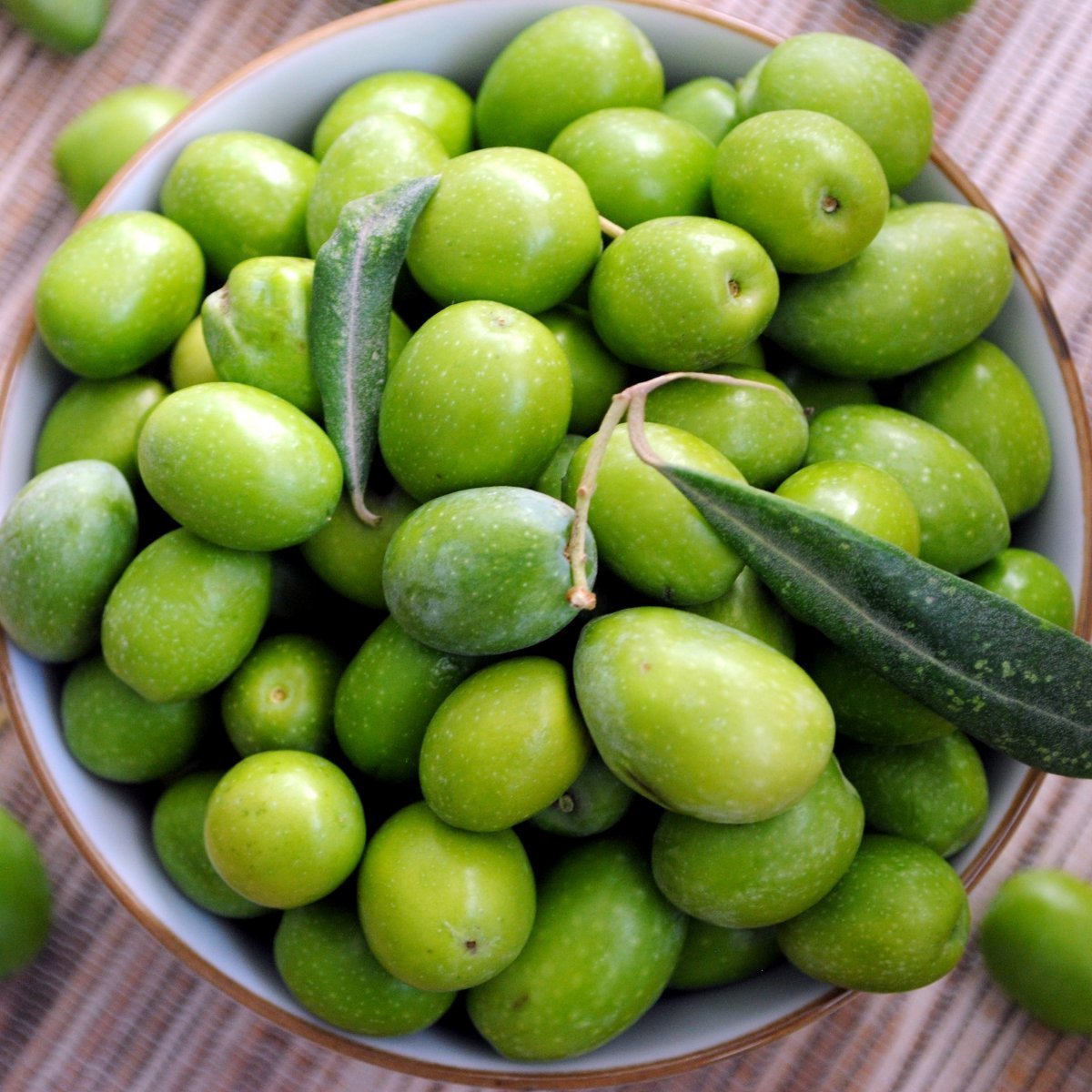 Tüplü Çil Topak Tavşan Yüreği Zeytin Fidanı