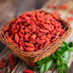 Tüplü Meyve Verme Yaşında Kırmızı Goji Berry Fidanı