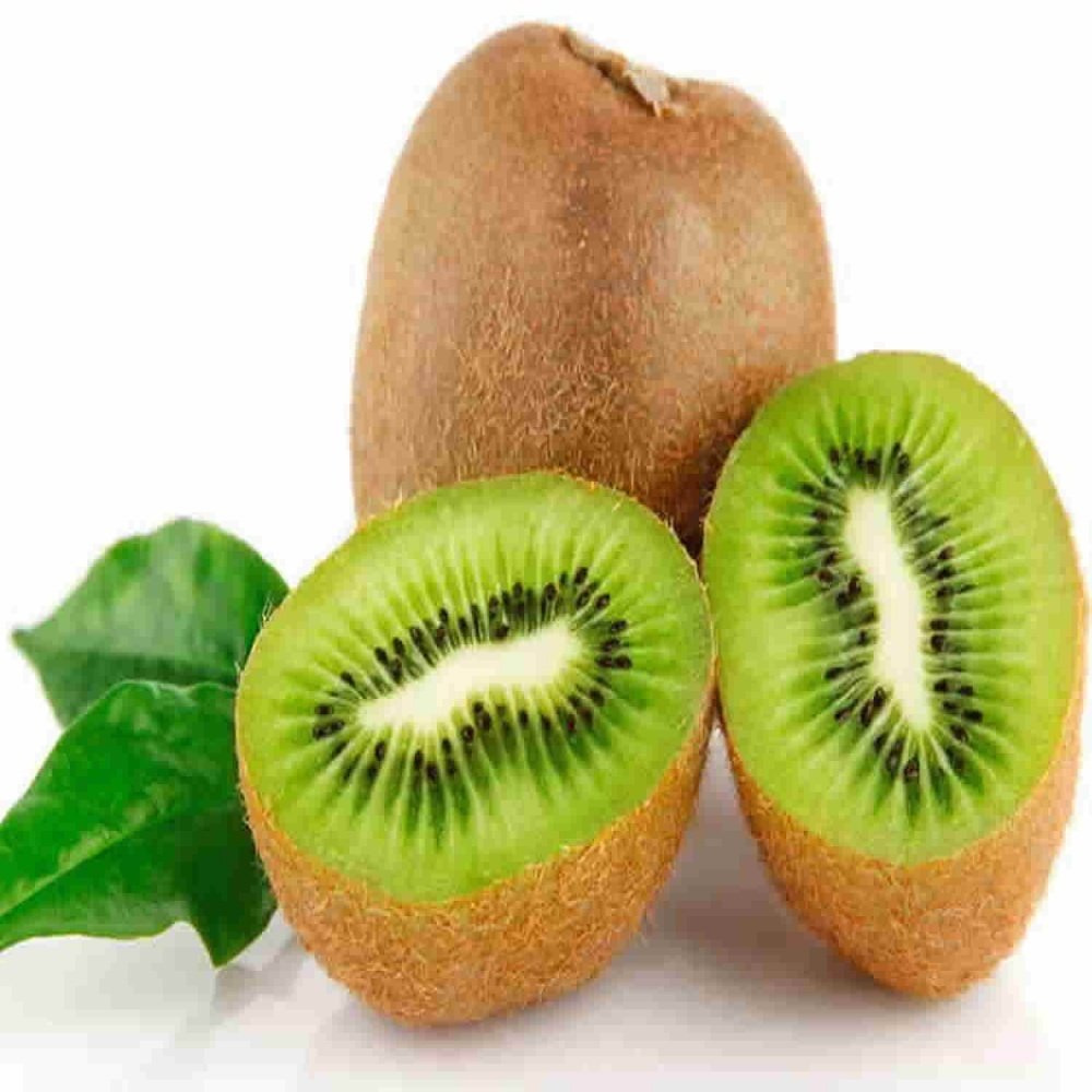 Tüplü Tüylü Hayward Kivi (Erkek) Fidanı