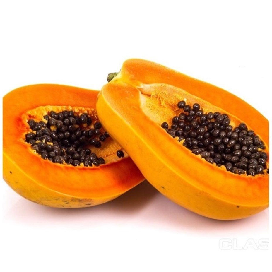 Tüplü Meyve Verebilecek Papaya (Ağaç Kavunu) Fidanı (150-200 cm)